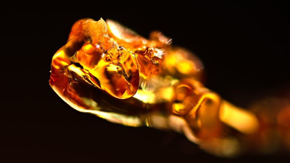 Cristallisation - Clothilde Leblanc photographe